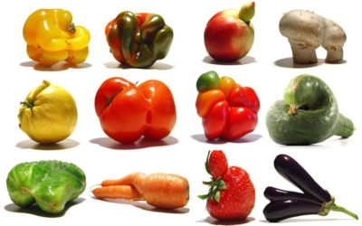 Imperfect Produce and the Movement Against Senseless Food Waste