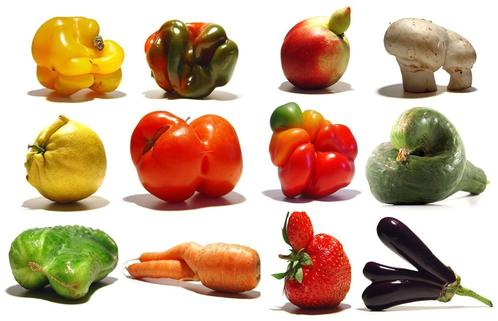 Imperfect Produce and the Movement Against Senseless Food Waste